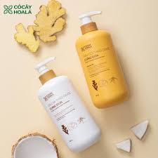 Dầu Gội Thảo Dược Hữu Cơ Gừng Dừa Cỏ Cây Hoa Lá 650g Sạch Gàu Ngứa