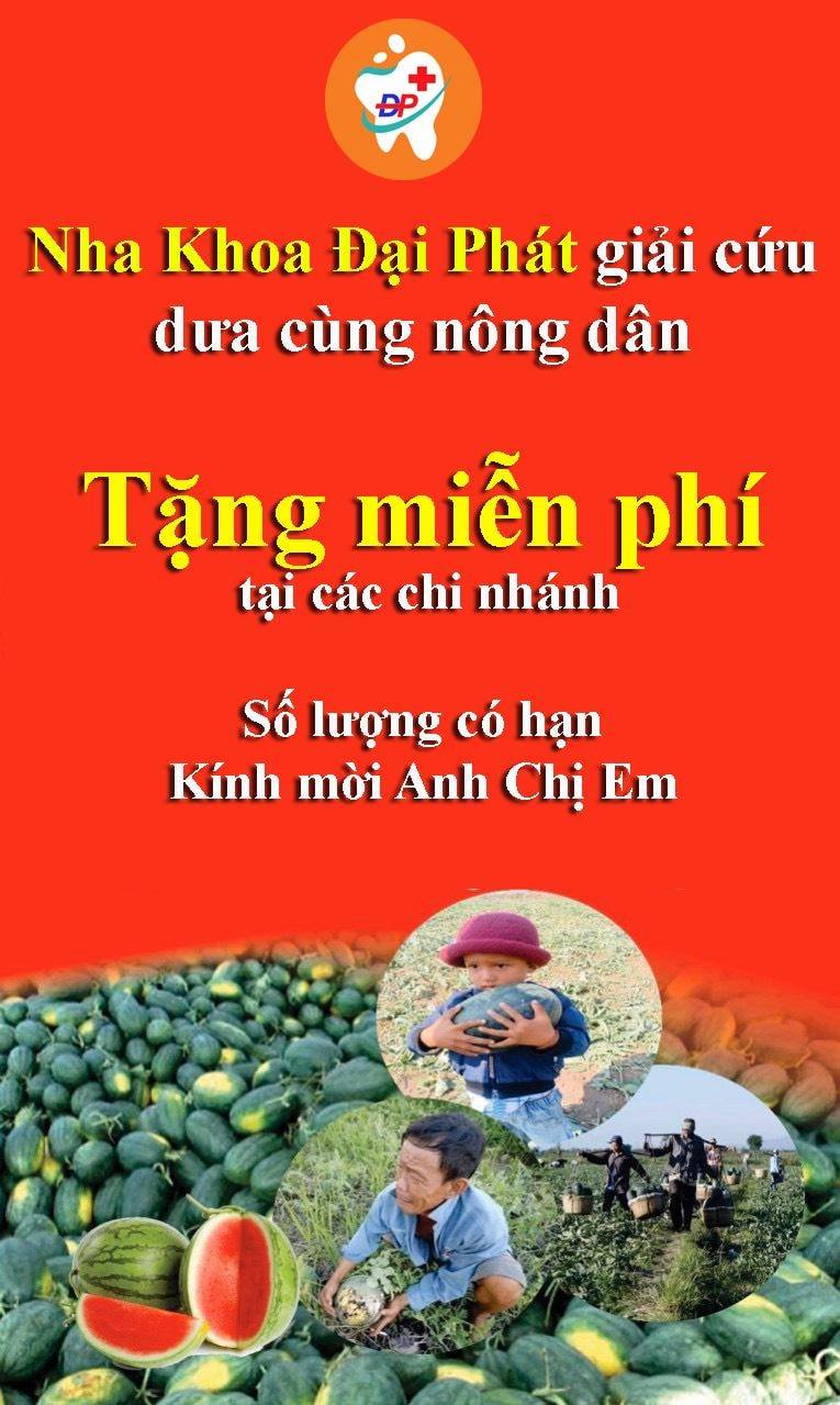 ĐẠI PHÁT GIẢI CỨU DƯA ĐỒNG HÀNH CÙNG NÔNG DÂN VIỆT NAM