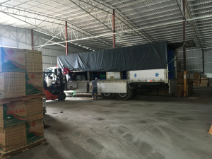 Gạch Nhập Khẩu 800x800mm KC8903