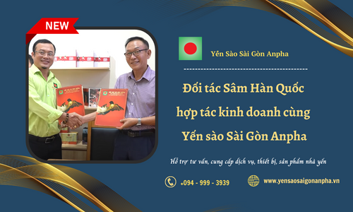 Đối tác Sâm Hàn Quốc hợp tác kinh doanh cùng Yến sào Sài Gòn Anpha
