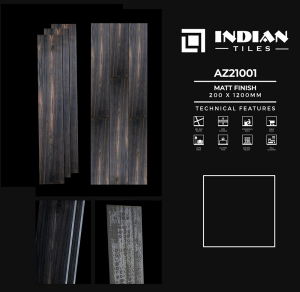 Gạch Ấn Độ 200x1200 AZ21001