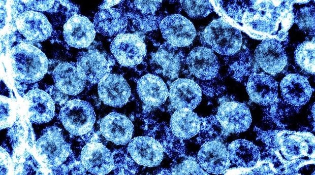 Trung Quốc phát hiện kháng thể có thể chống lại mọi biến thể SARS-CoV-2