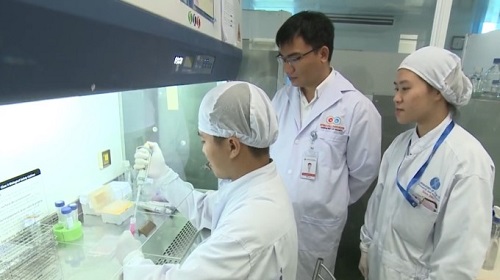 Việt Nam nghiên cứu thành công thuốc điều trị viêm phổi mạn tính từ tế bào gốc
