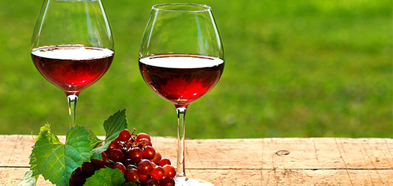 Italy Grape Wine