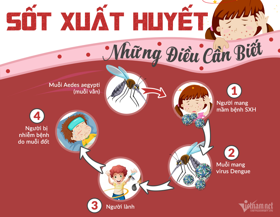 Đại dịch sốt xuất huyết: phải đọc để bảo vệ gia đình