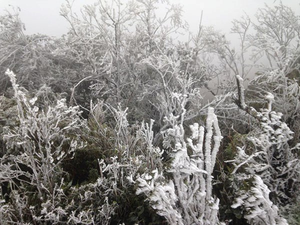 Cận cảnh băng giá phủ trắng đỉnh Mẫu Sơn ở nhiệt độ -1,4 độ C