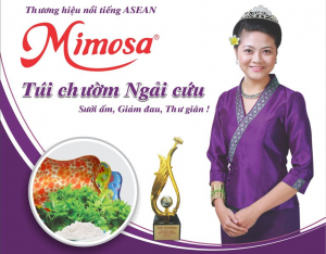 Túi chườm ngải cứu Mimosa loại trung NC002