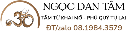 Vòng Tay Dzi 9 Mắt Phối Thanh Phách