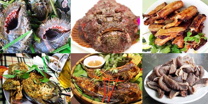 Top 7 hải sản biển Việt Nam, có tiền nên ăn thử
