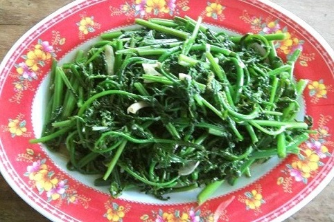 Đặc sản - Lai Châu Nộm rau dớn lạ miệng