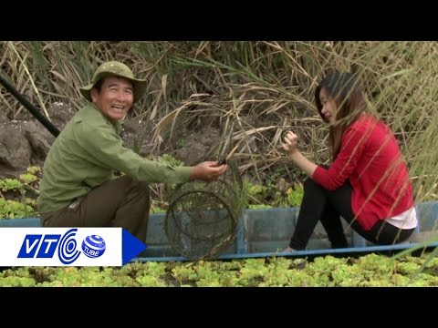 Sản vật 'hiếm - độc' ở Vườn quốc gia U Minh Hạ | VTC