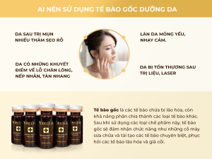 Set Tinh Chất Tế Bào Gốc Tái Tạo Da Yobecell (5 chai)