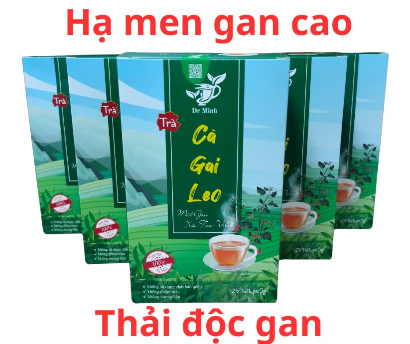 Hộp trà cà gai leo Dr Minh cao cấp (tuyển CTV, Đlý, NPP toàn quốc 0934449922)