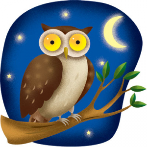 THÀNH NGỮ 1 - Night Owl