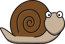 A snail