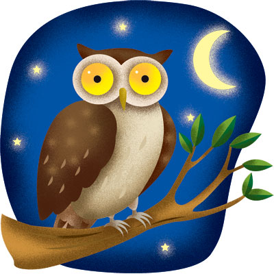 Thành ngữ: Night owl