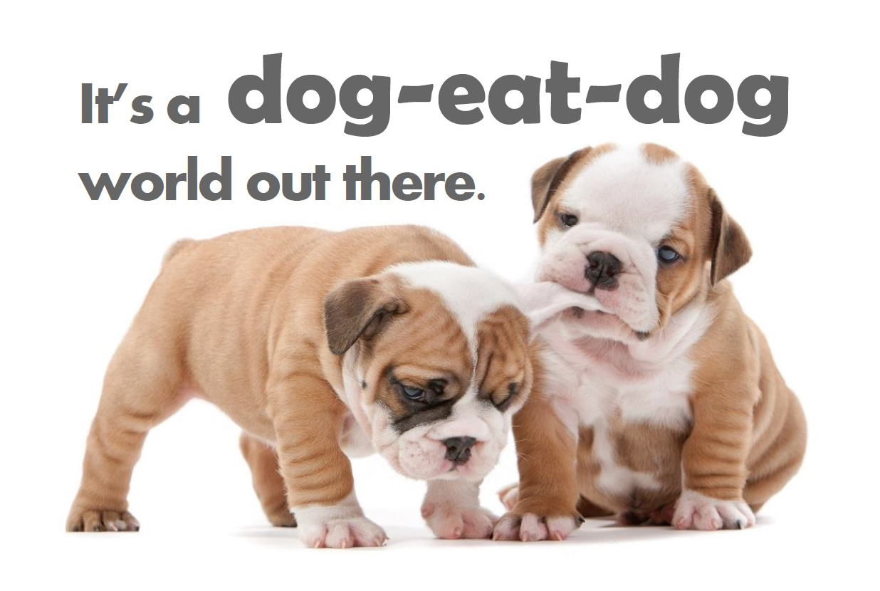 THÀNH NGỮ 8: Dog eat dog