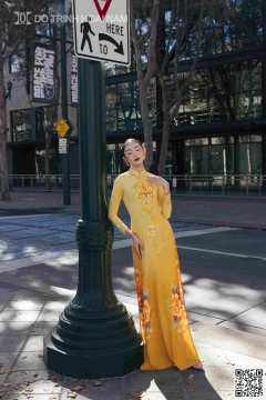 Tinh Hoa Lụa Việt 007