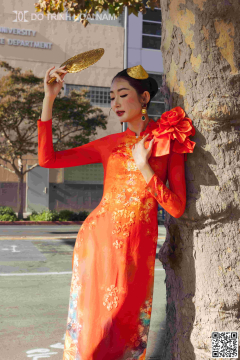 TINH HOA LỤA VIỆT 019