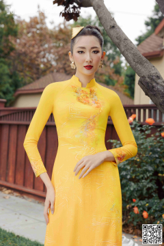 TINH HOA LỤA VIỆT 065