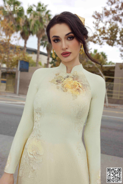 TINH HOA LỤA VIỆT 066