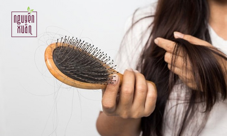 Mẹo 5 cách chữa rụng tóc và kích thích mọc tóc bạn cần biết