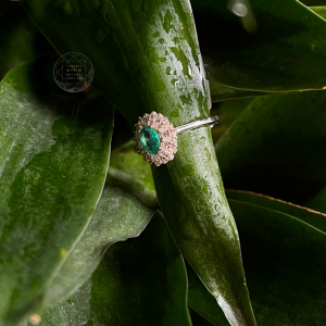 Nhẫn Emerald - Ngọc Lục Bảo - Bạc si vàng trắng 18k