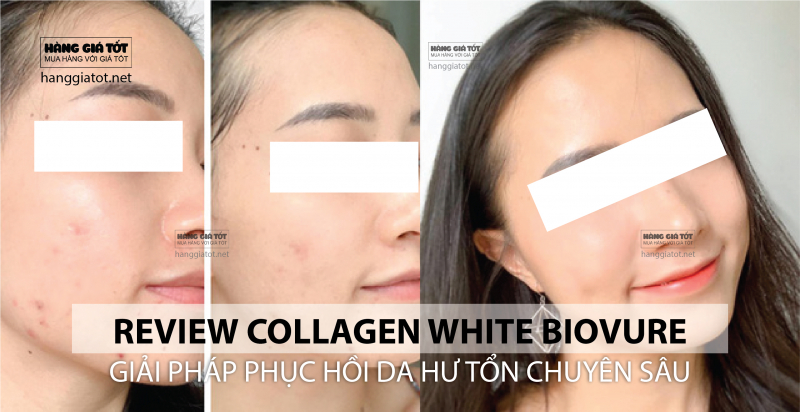 review-feedback-collagen-white-nhat-ban
