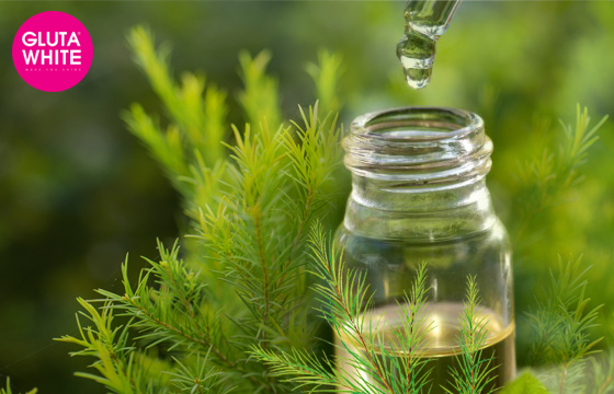 MIRACLE CLEAN ACNES: “BÍ KÍP” SẠCH MỤN, TRẮNG DA