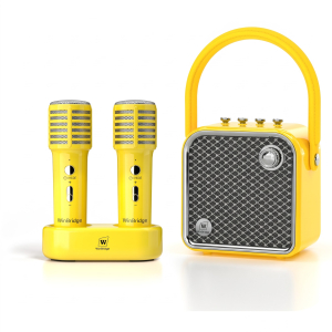 Loa karaoke di động WinBridge L20 công suất 20W (Kèm 2 micro không dây & đế sạc)