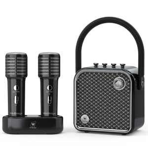 Loa karaoke di động WinBridge L20 công suất 20W (Kèm 2 micro không dây & đế sạc)
