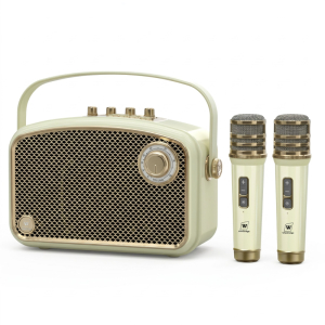 Loa karaoke di động WinBridge L200 công suất 60W (Kèm 2 micro không dây)