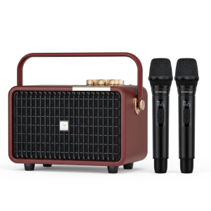 Loa karaoke di động WinBridge L400 công suất khủng 240W (Kèm 2 micro không dây & điều khiển)