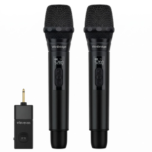 Hệ thống micro không dây WinBridge S20 (Kèm 2 micro cầm tay & đầu thu Receiver)