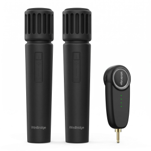 Hệ thống micro không dây WinBridge S22 (Kèm 2 micro cầm tay & đầu thu Receiver 2.4GHz)