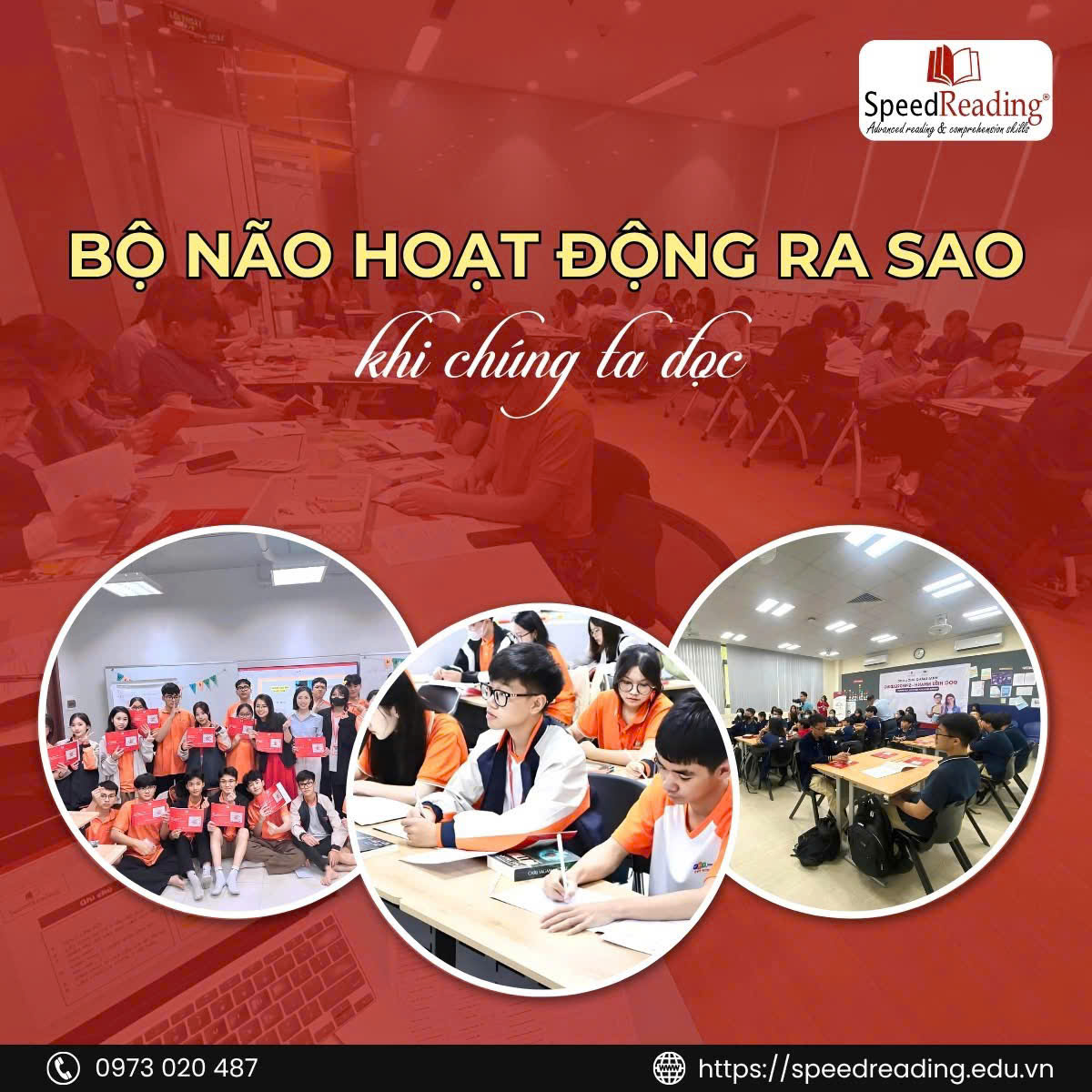 BỘ NÃO HOẠT ĐỘNG RA SAO KHI CHÚNG TA ĐỌC?